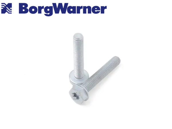 Pompe de précharge Haldex Borgwarner 5ème génération 0CQ598549 – Image 4