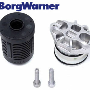 Filtre pour Boîtiers Borgwarner de 4ème génération DS2003085