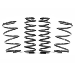 Kit ressorts courts Racingline -30mm pour VW Polo AW GTI - VWR31P2GT