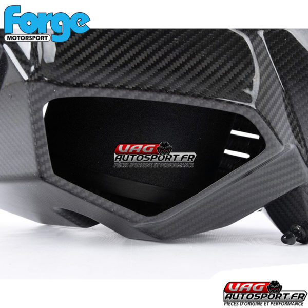 Admission carbone Forge - AUDI RS7 / RS6 C7 - V8 4.0 TFSI - FMINDK9 – Image 24