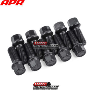 Ensemble de 10 vises à assise sphérique pour jantes - 40mm - APR MS100176