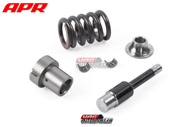 Pompe haute pression pour moteurs AUDI 2.9TFSI & 3.0TFSI EA839 - APR - MS100207 – Image 4
