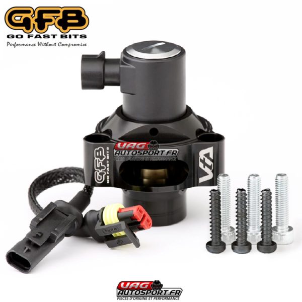 Dump renforcée à décharge externe DV+ GFB + VTA pour 2.0 TSI EA888 gen4 & 3.0 TFSI - T9480