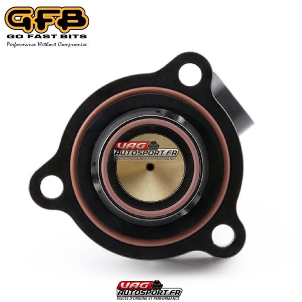 Dump renforcée à décharge externe DV+ GFB + VTA pour 2.0 TSI EA888 gen4 & 3.0 TFSI - T9480 – Image 4