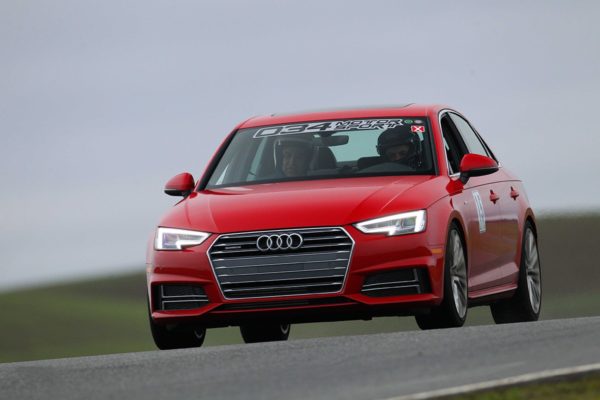 Ressorts Courts Dynamic+ – Audi A4 / Allroad B9-B9.5 Quattro – 034-404-1001 – 034 MOTORSPORT – Image 6