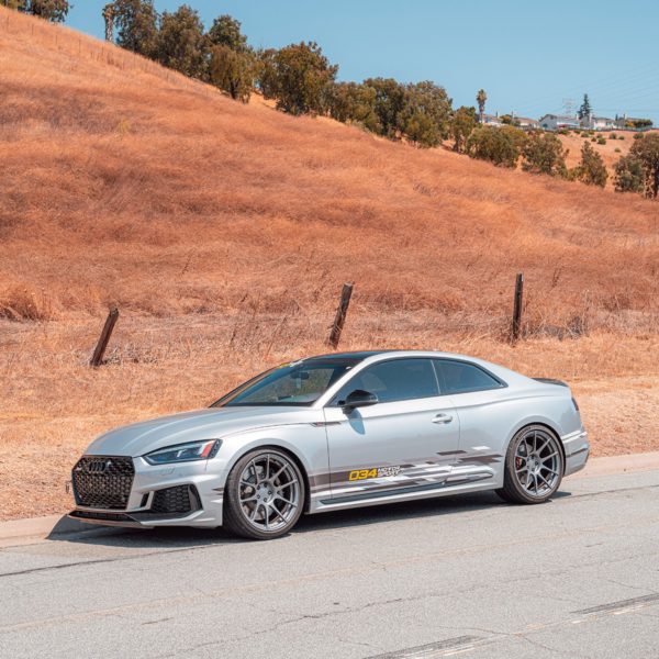 Ressorts Courts Dynamic+ – Audi RS5 B9/B9.5 – 034-404-1017 – 034 MOTORSPORT – Image 6